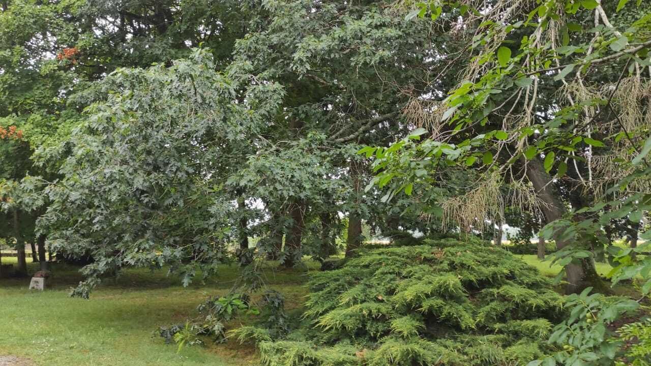 Photo of Outdoor in Vierzon