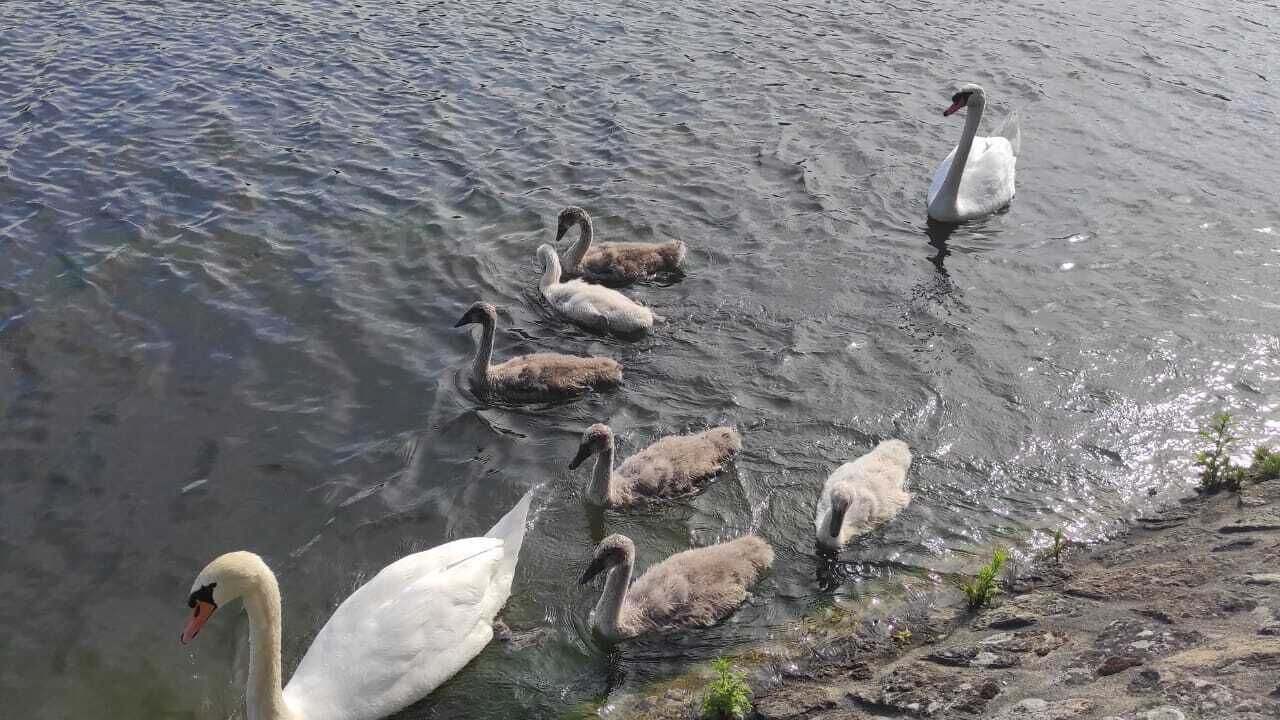 Photo of Others in Vierzon