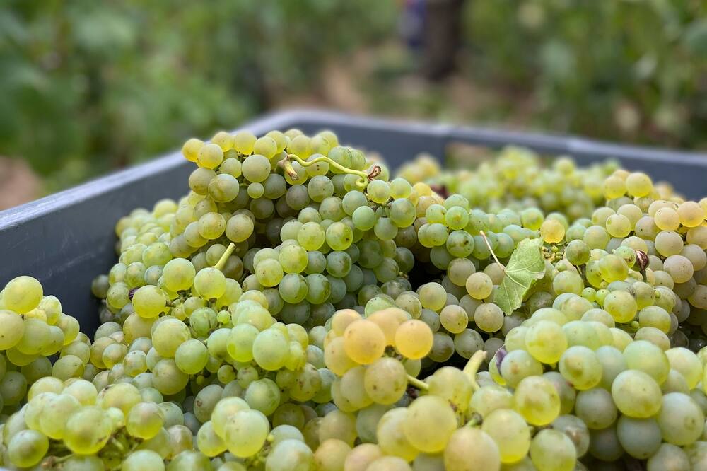 Photo of Outdoor in Epernay