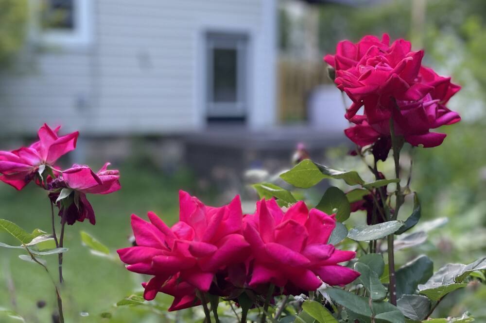 Photo of Outdoor in Fort Erie