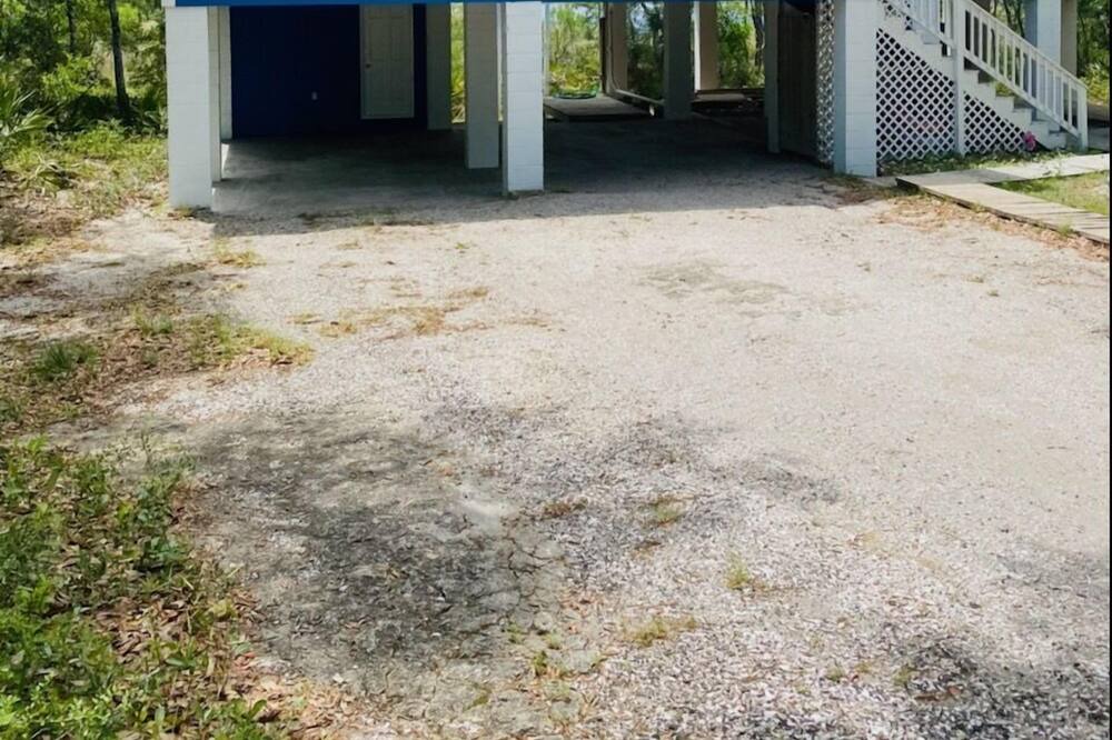 Photo of Outdoor in Alligator Point