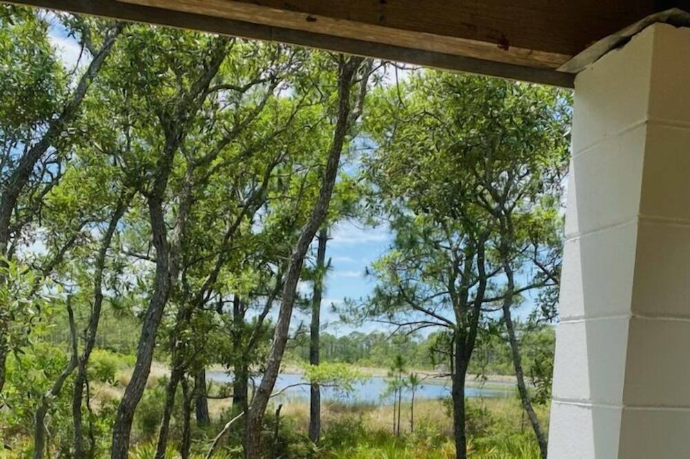 Photo of Outdoor in Alligator Point