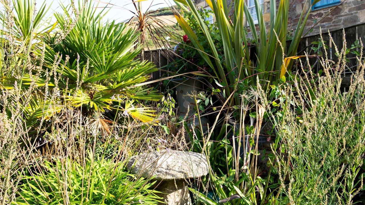 Photo of Others in Gorran Haven