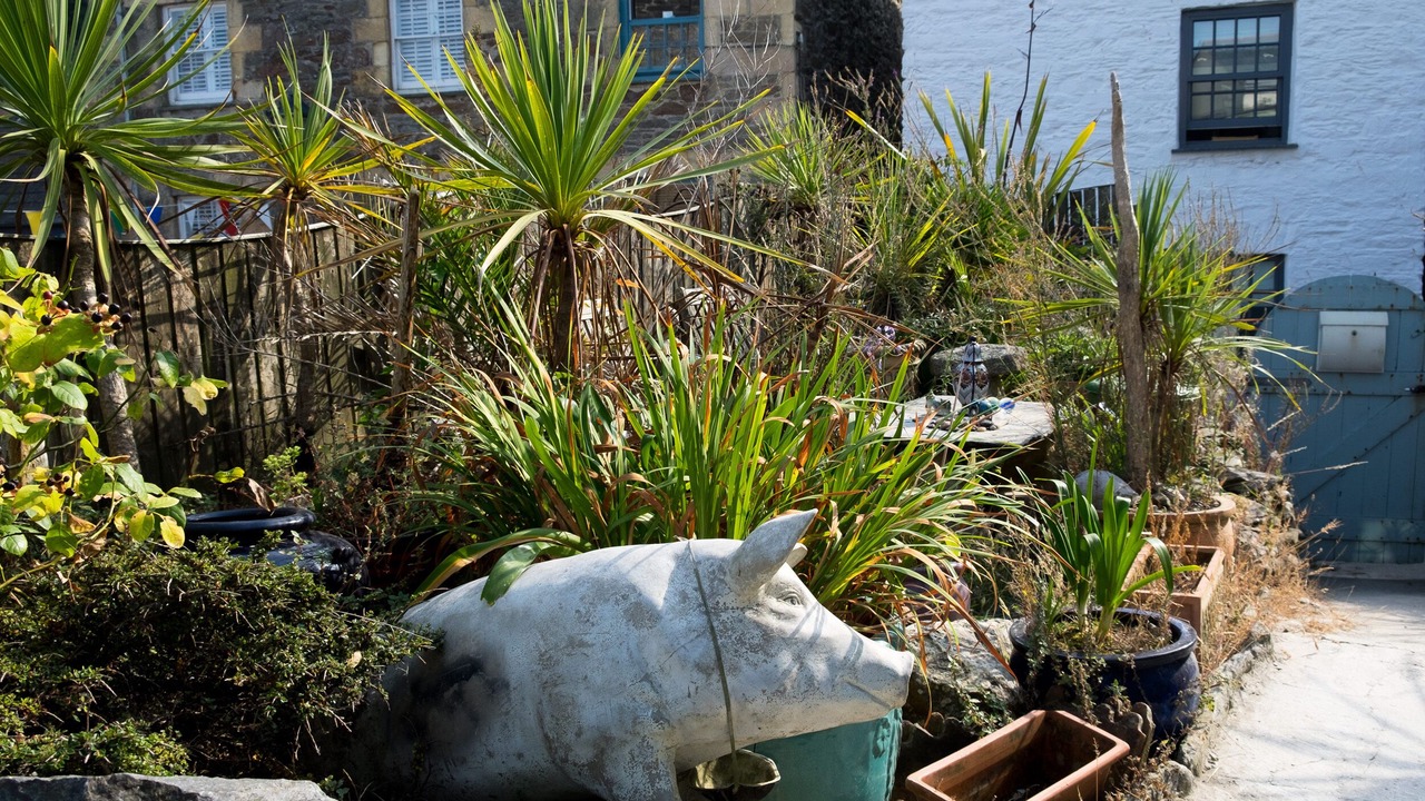 Photo of Others in Gorran Haven