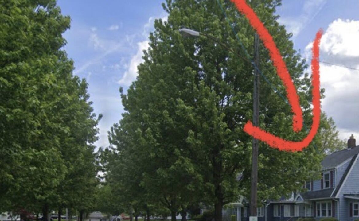 Photo of Others in Maple Heights