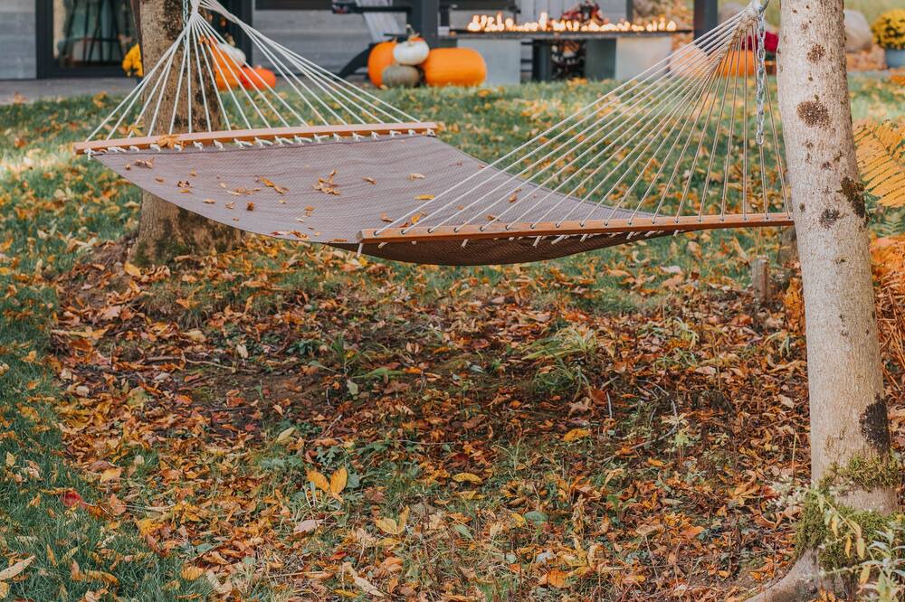 Photo of Others in Barneveld