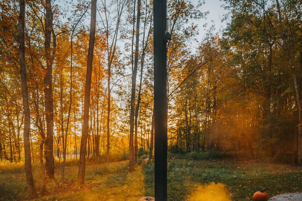 Photo of Others in Barneveld