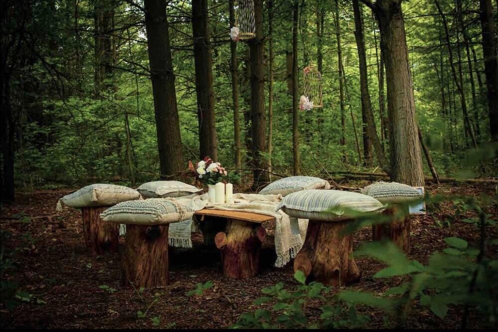 Photo of Outdoor in Hamilton