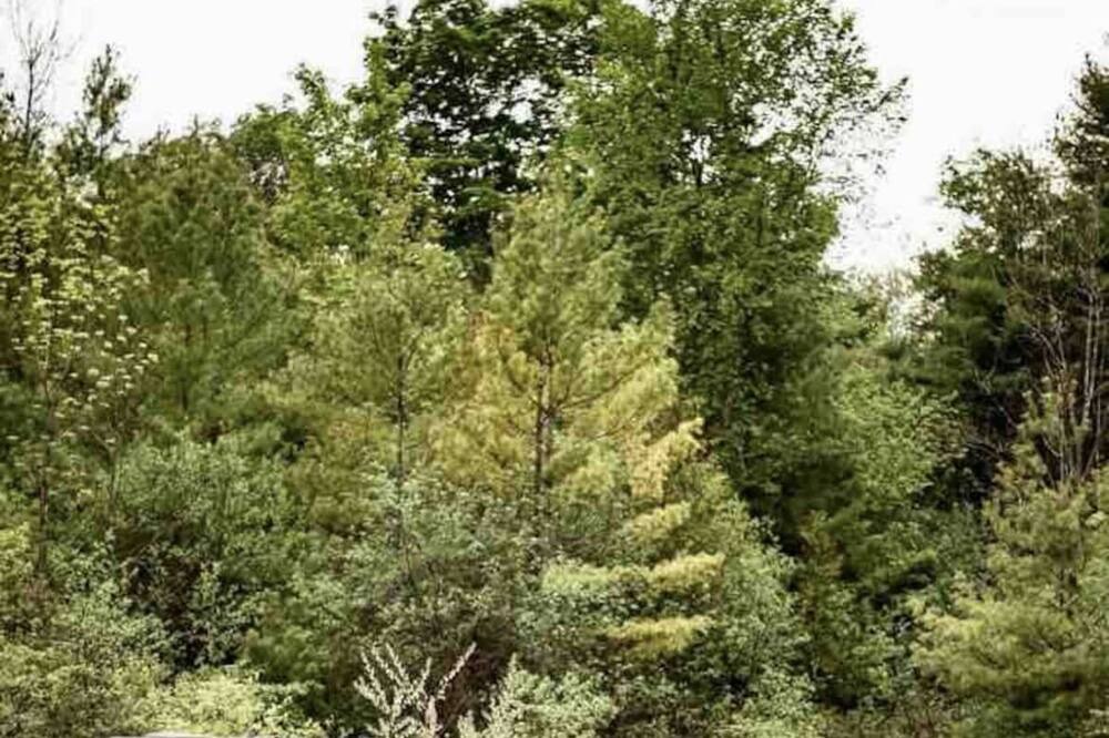 Photo of Others in Hamilton
