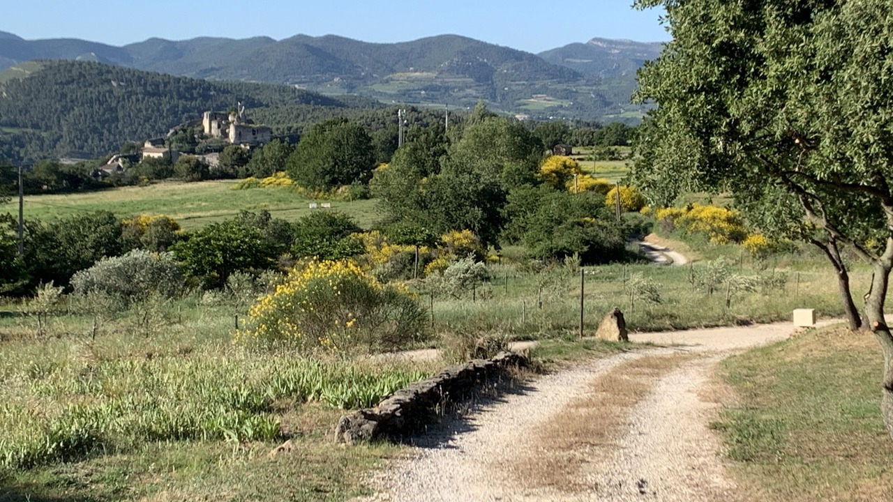 Photo of Outdoor in Entrechaux