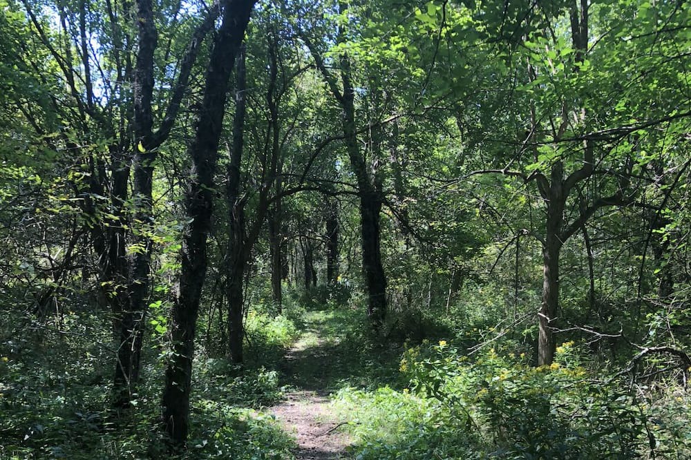 Photo of Outdoor in Drexel