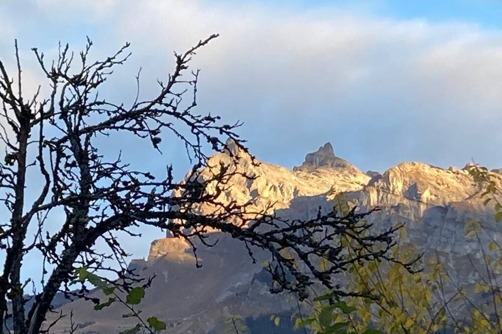 Photo of Outdoor in Passy