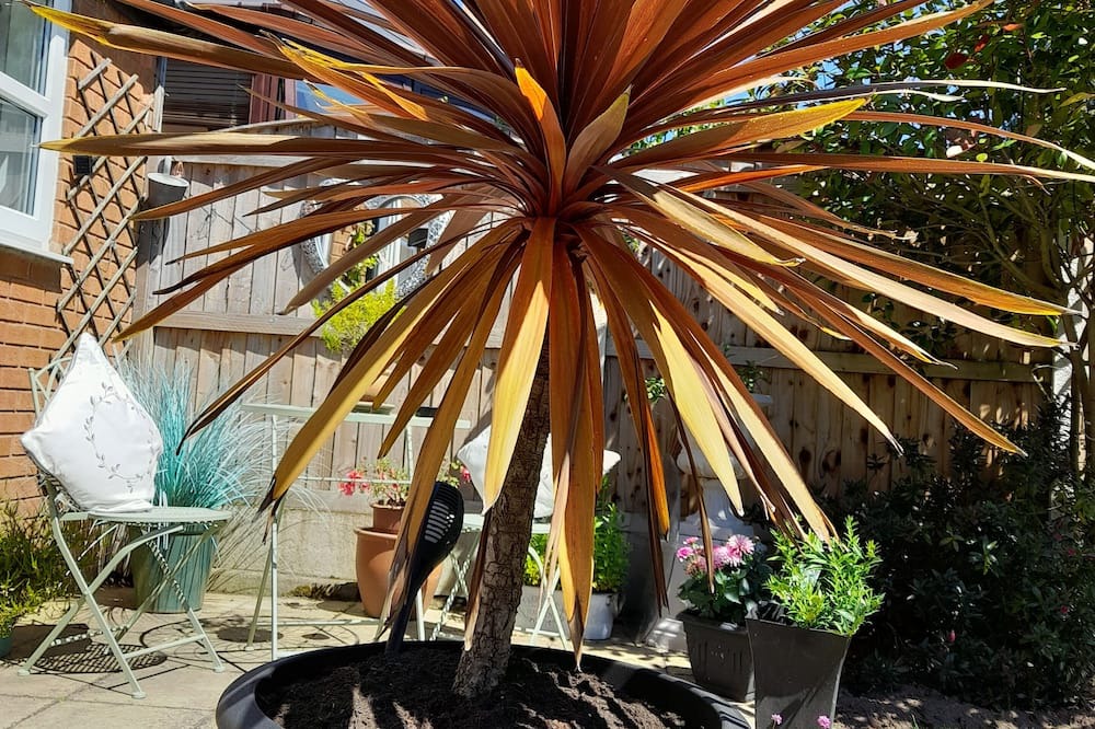 Photo of Outdoor in Catshill