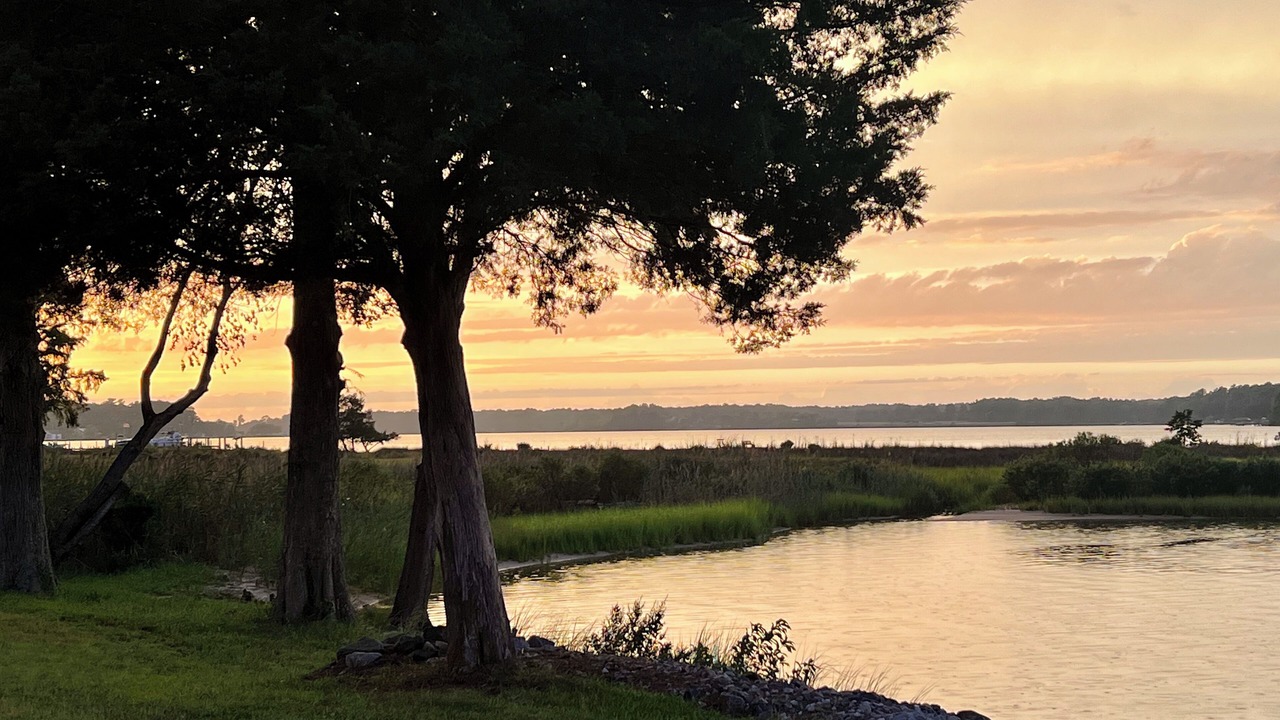 Photo of Outdoor in Dutton