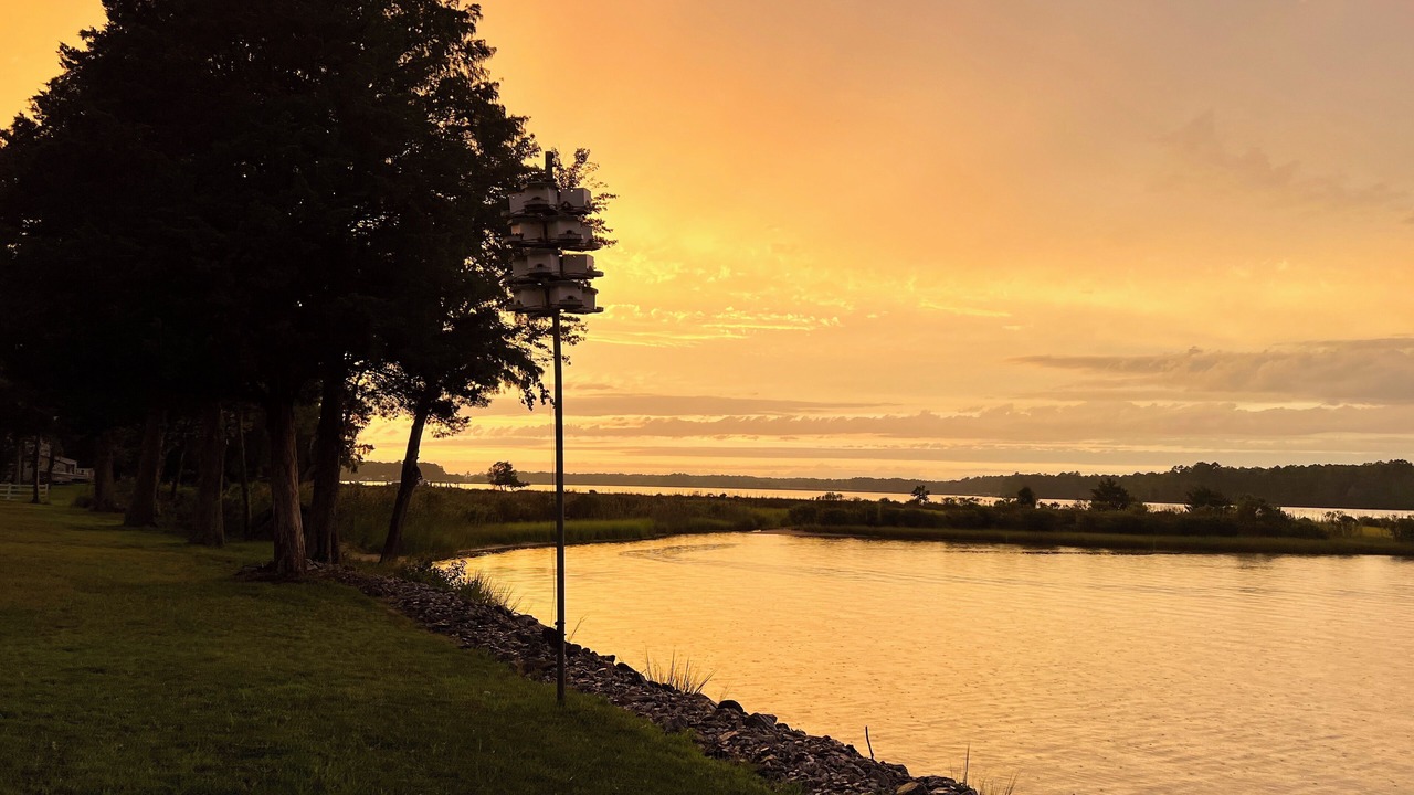 Photo of Outdoor in Dutton