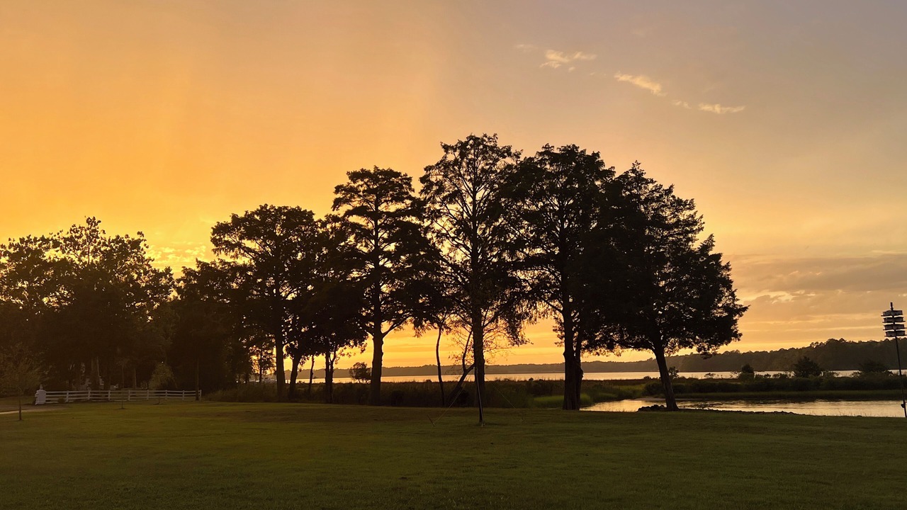 Photo of Others in Dutton