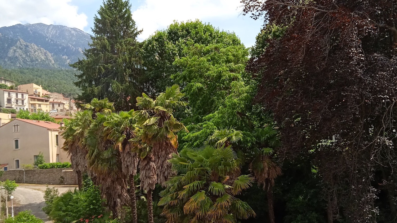 Photo of Outdoor in Vernet-les-Bains