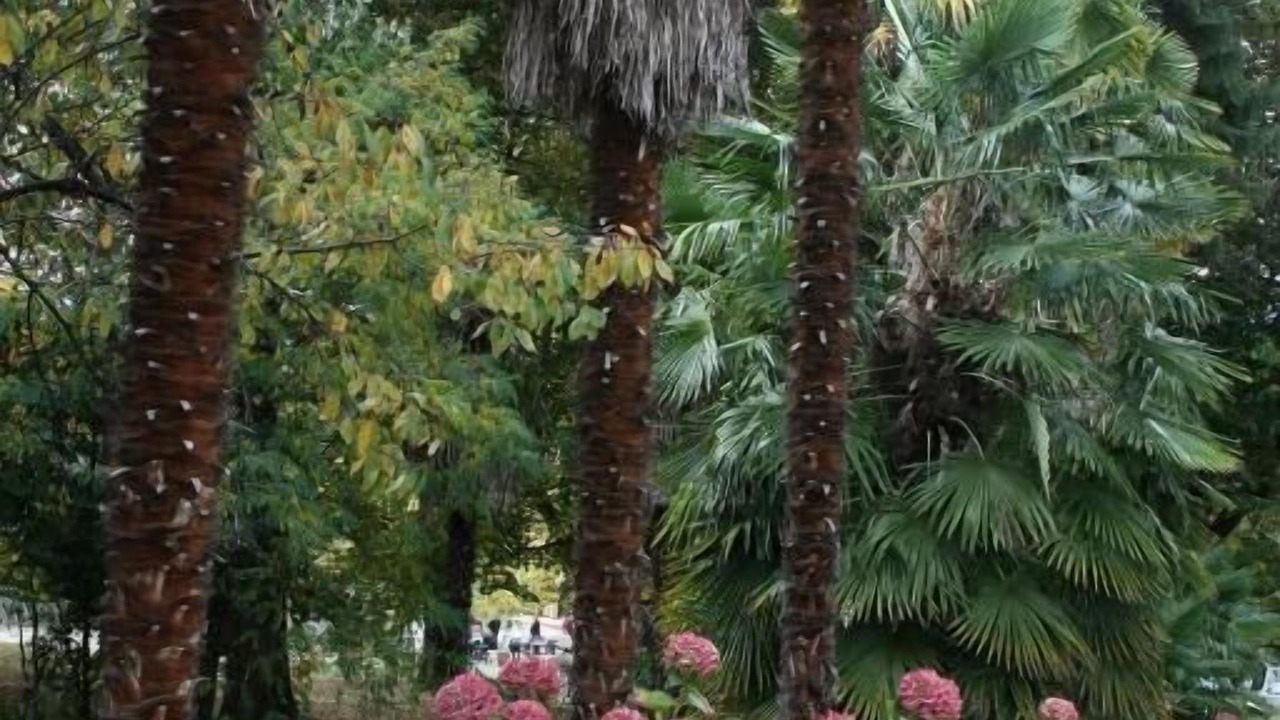 Photo of Outdoor in Vernet-les-Bains