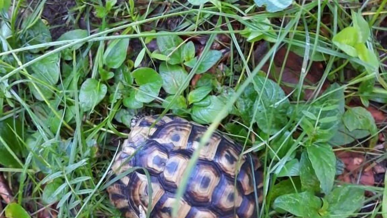 Photo of Outdoor in Vernet-les-Bains