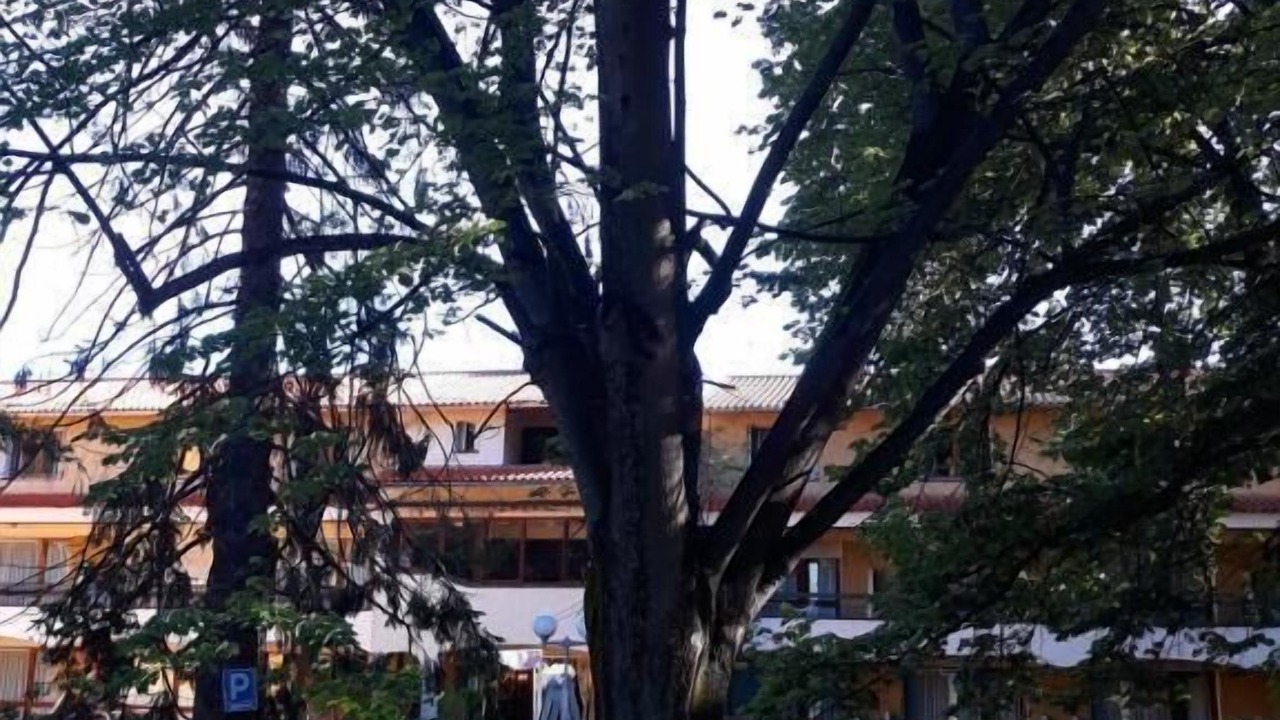 Photo of Outdoor in Vernet-les-Bains