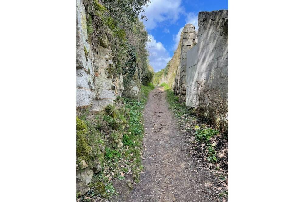 Photo of Outdoor in Le Thoureil