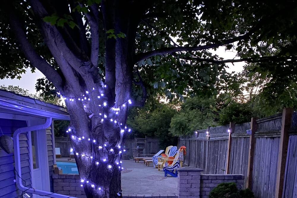 Photo of Outdoor in Wellington