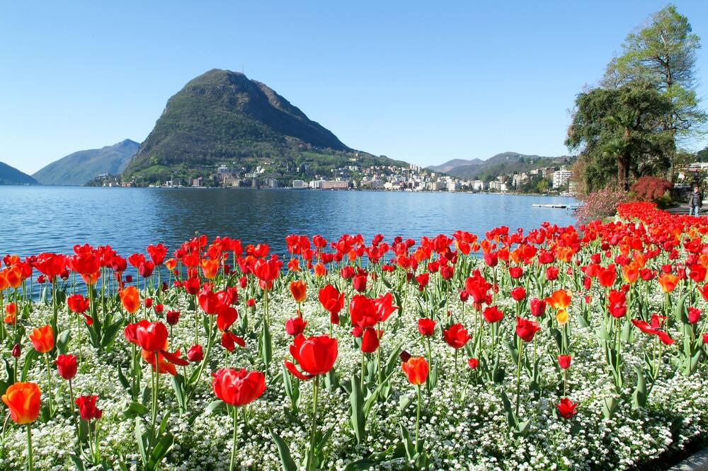 Photo of Outdoor in Croglio