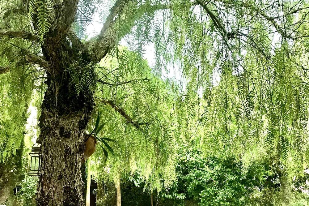 Photo of Outdoor in Lunel