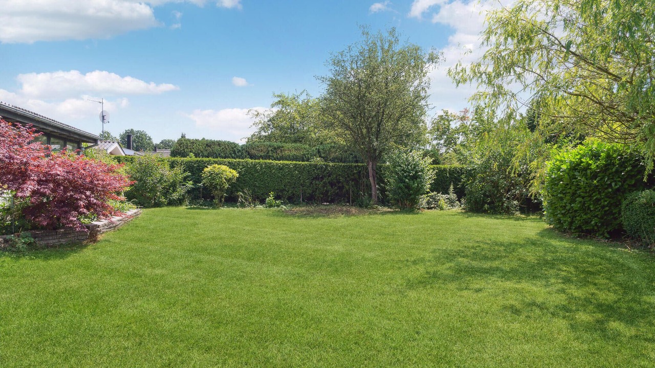 Photo of Outdoor in Bog By