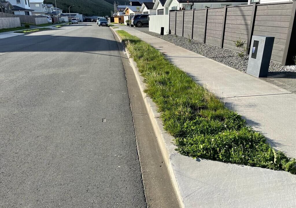 Photo of Outdoor in Tawa