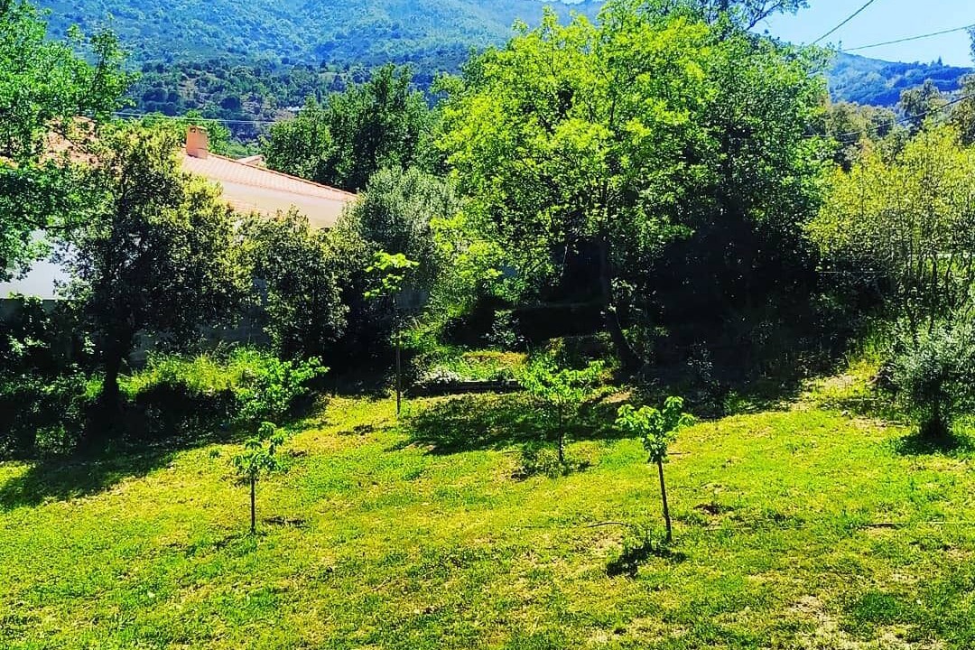 Photo of Outdoor in Montesquieu-des-Alberes