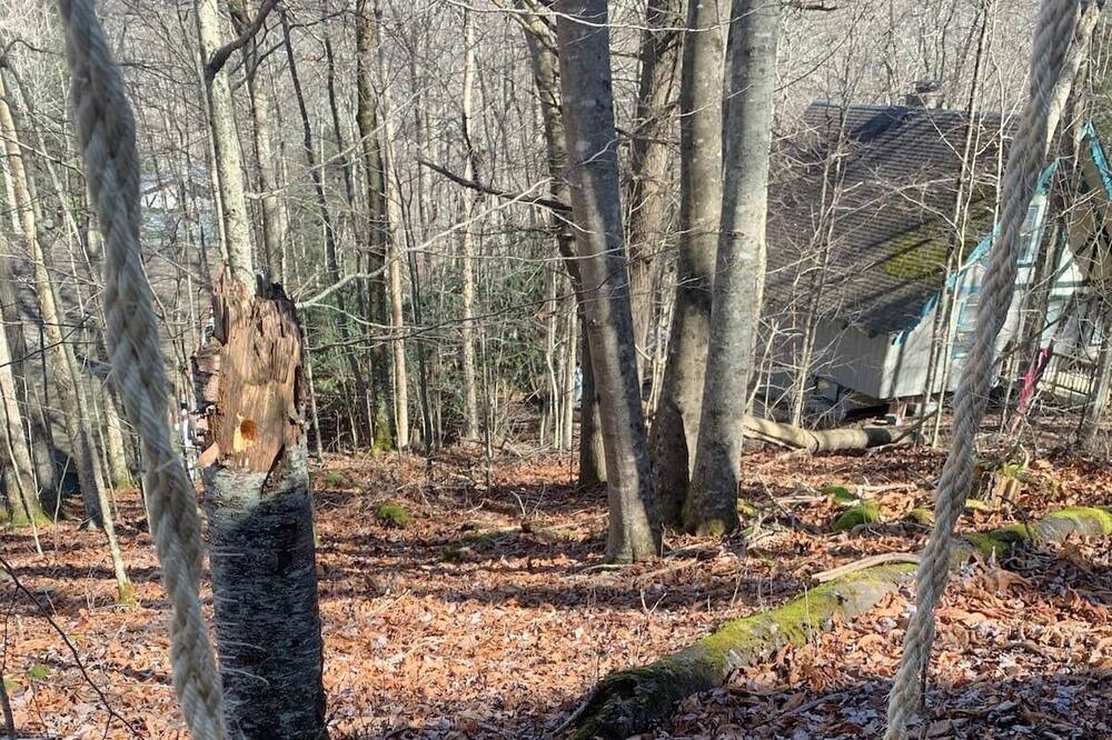 Photo of Outdoor in Beech Mountain