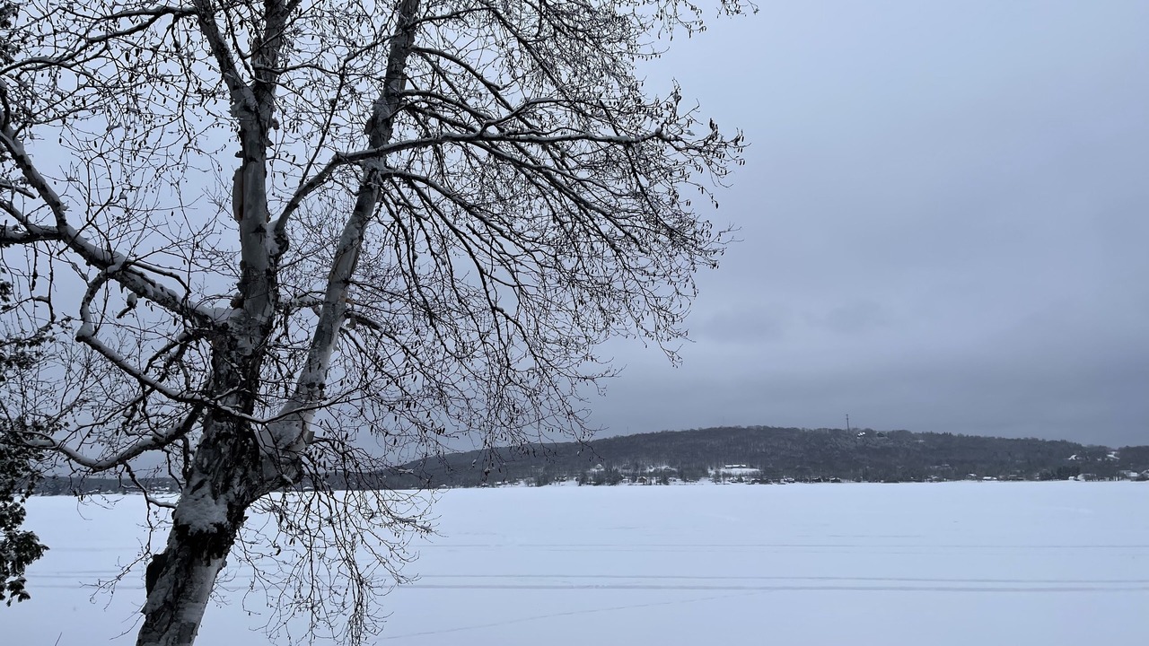 Photo of Others in Portage Lake