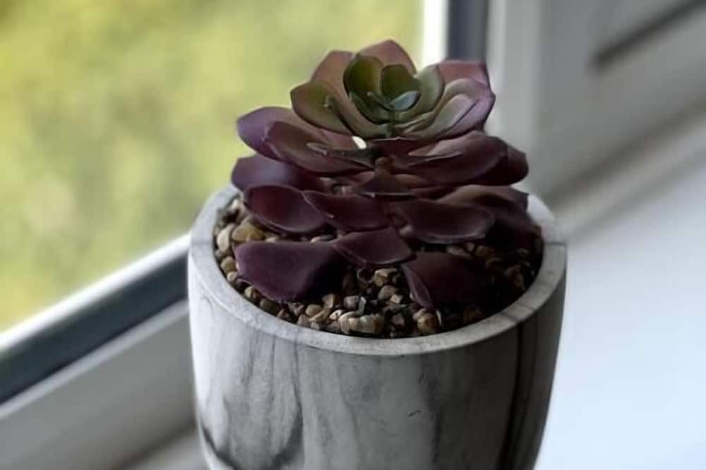 Photo of Others in Ibstock