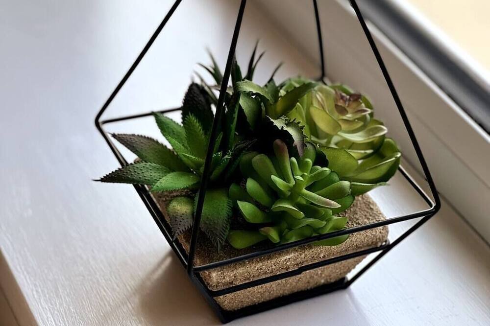 Photo of Others in Ibstock