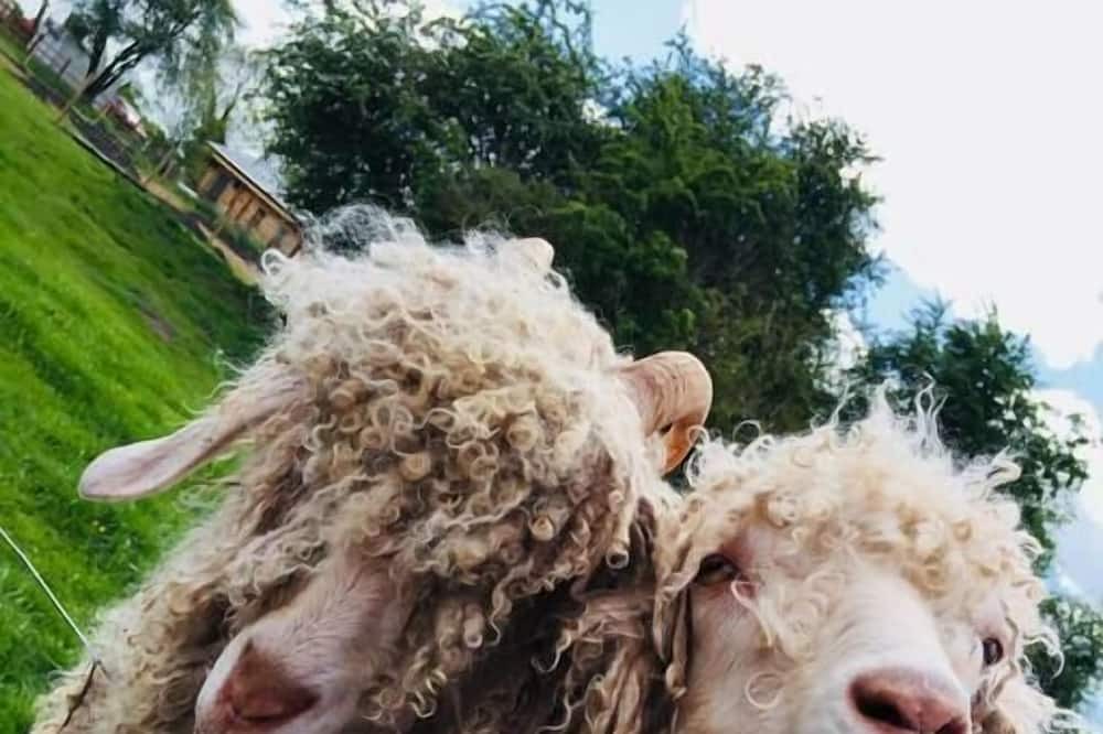 Photo of Outdoor in Ibstock