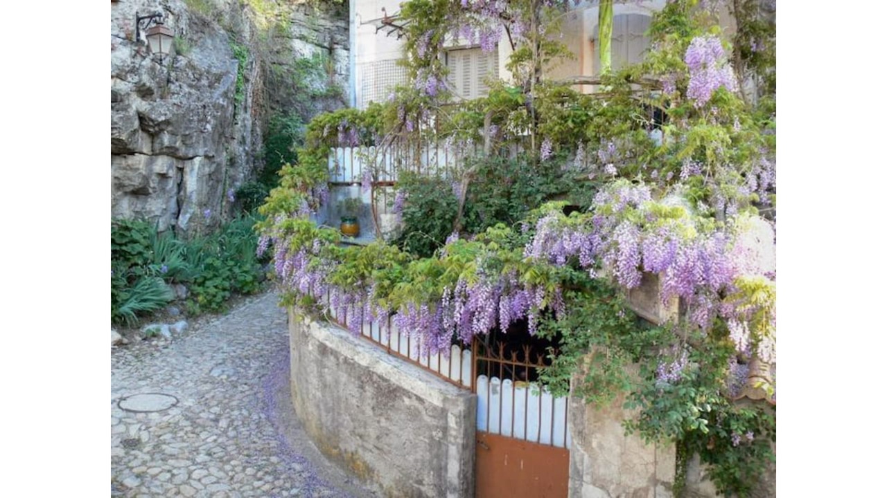 Photo of Outdoor in Saint-Andre-de-Cruzieres