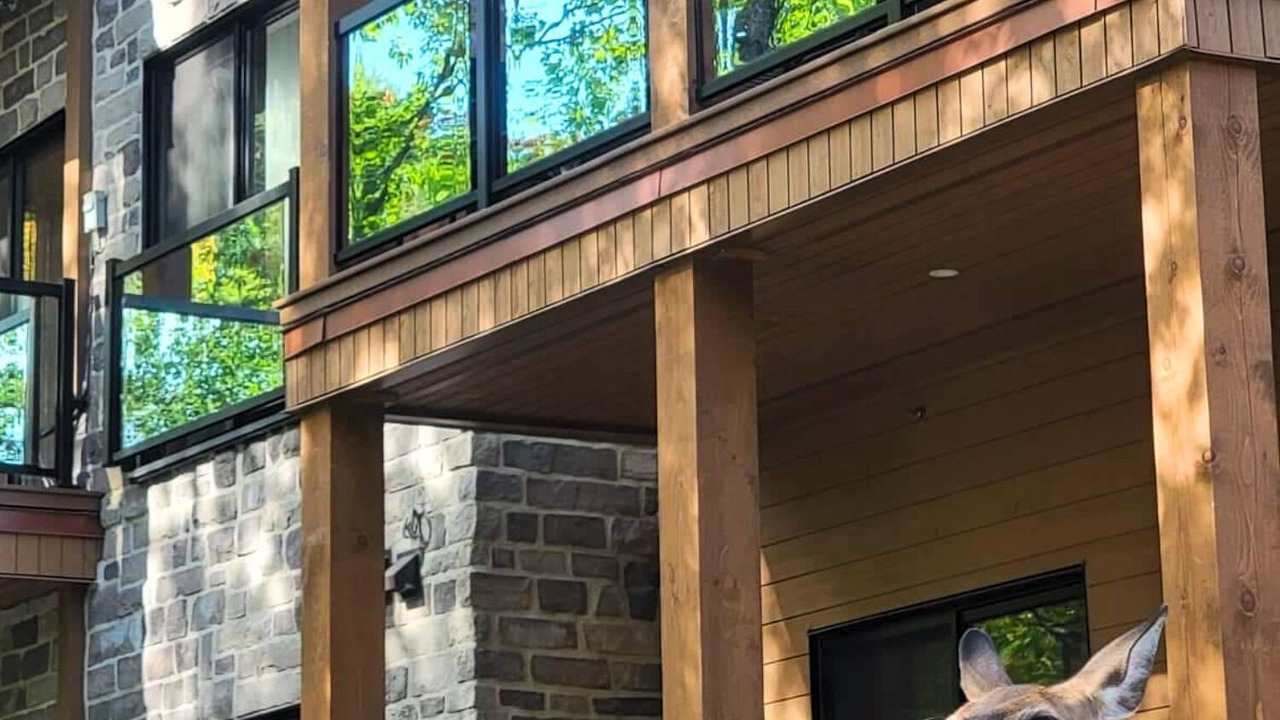 Photo of Outdoor in Mont-Tremblant