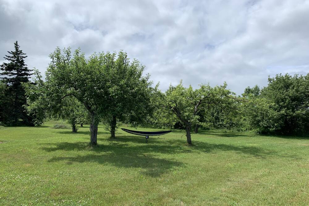 Photo of Outdoor in Antigonish County