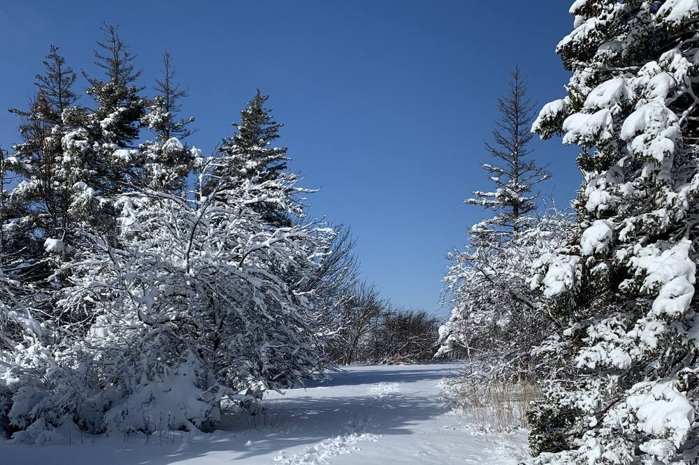 Photo of Others in Antigonish County