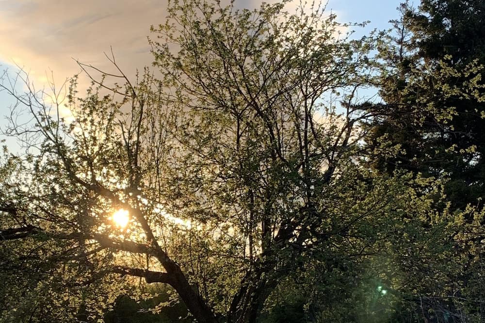 Photo of Outdoor in Antigonish County