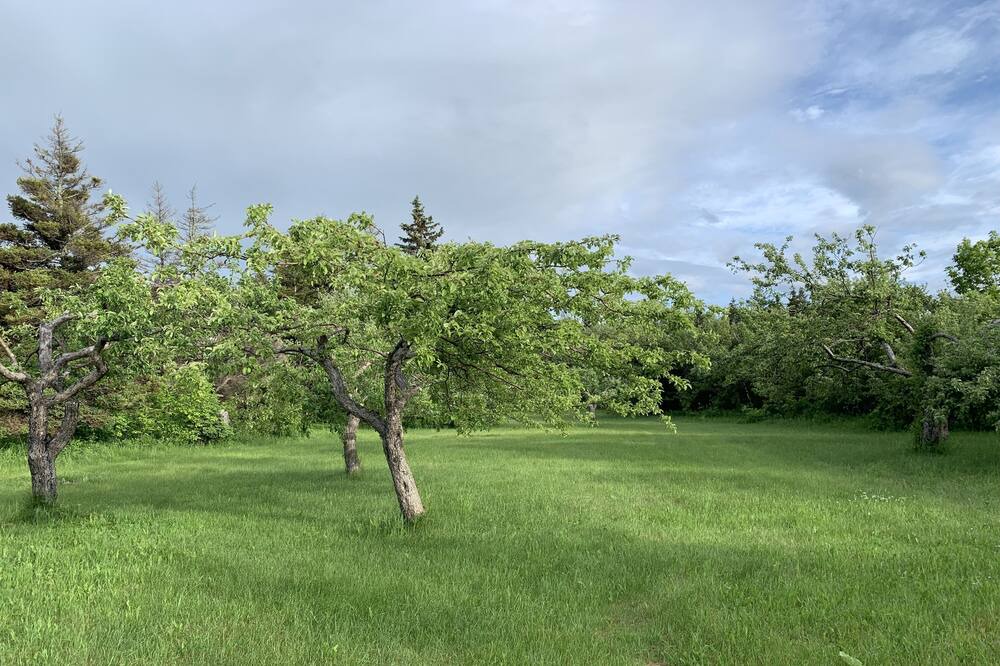 Photo of Outdoor in Antigonish County