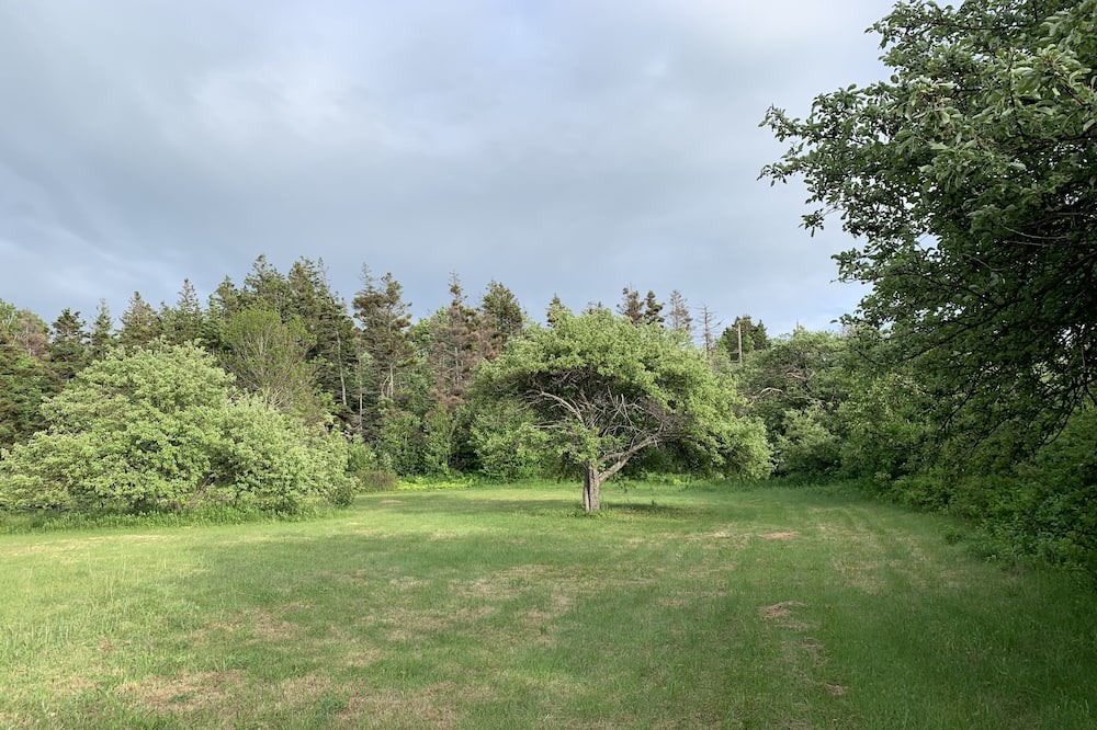 Photo of Others in Antigonish County