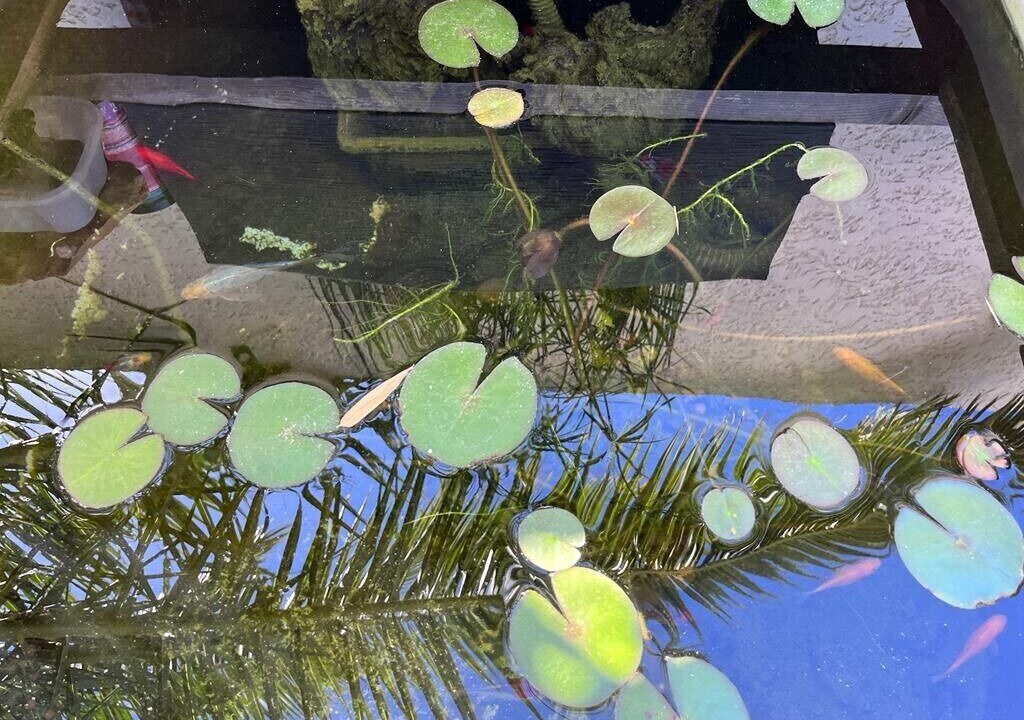 Photo of Outdoor in Teyran