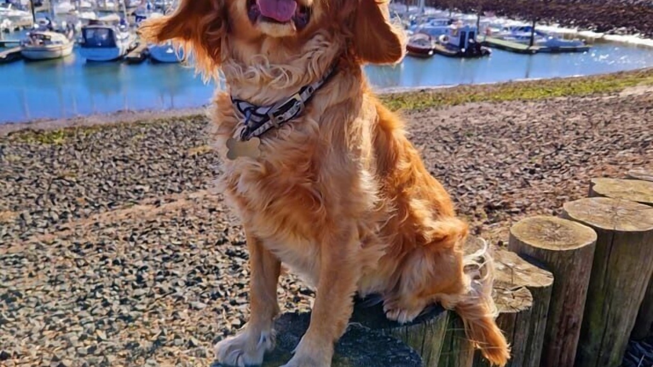 Photo of Bathroom in Amble