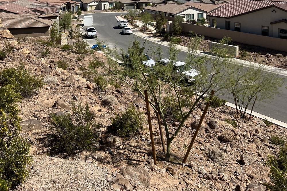 Photo of Outdoor in Lake Las Vegas