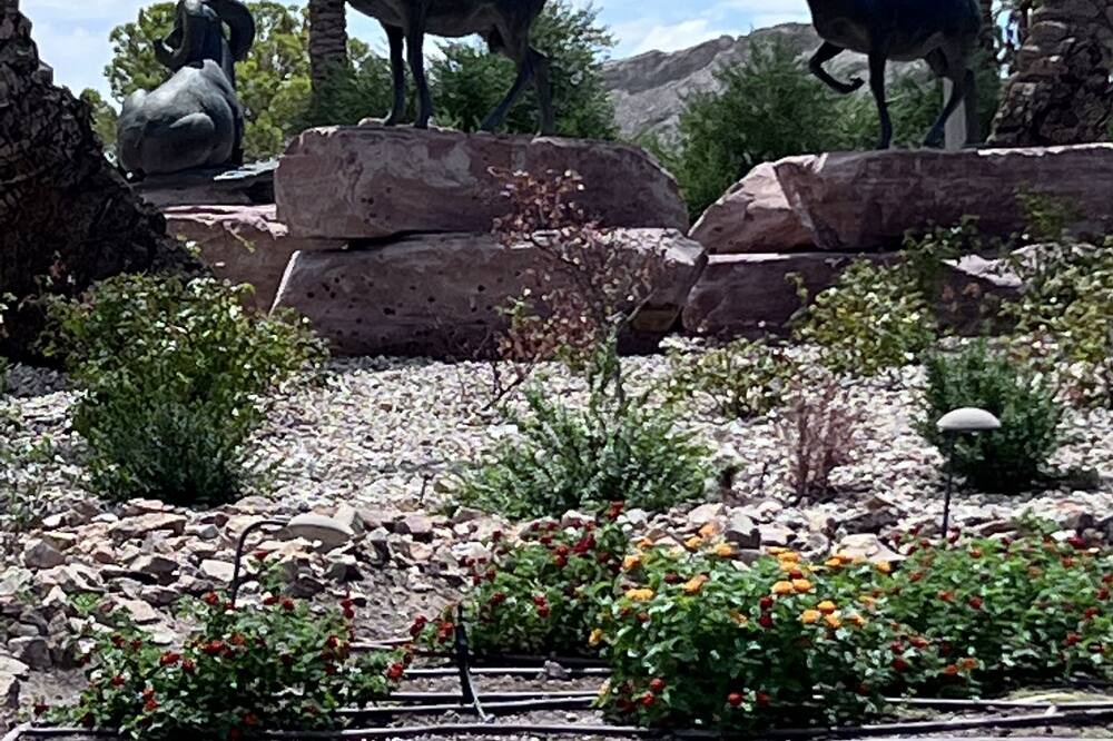 Photo of Others in Lake Las Vegas