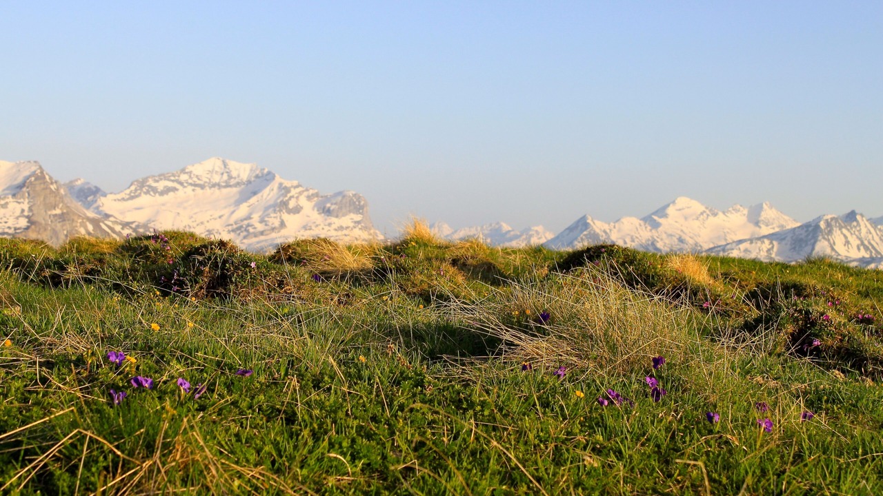 Photo of Outdoor in Mathon