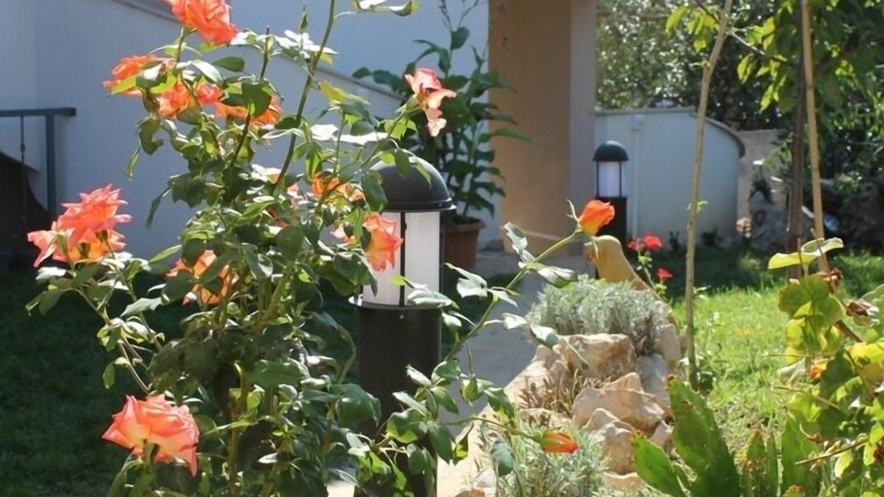 Photo of Outdoor in Posedarje