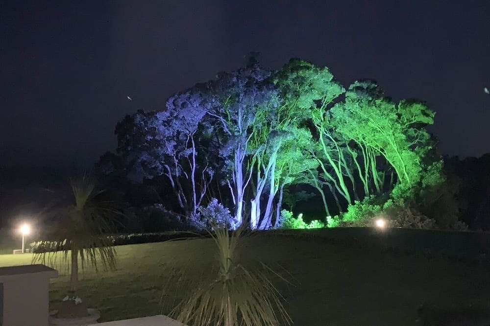 Photo of Others in Pitone